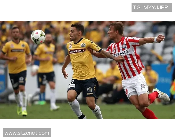 布里班狮吼与凤凰的激烈对决揭示澳超联赛的精彩与悬念