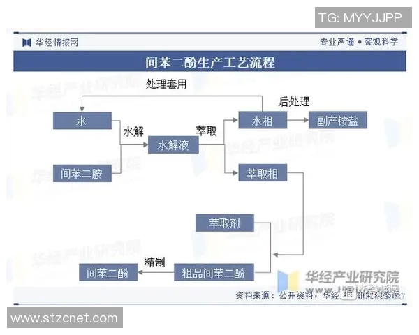 重庆足球队实力分析与未来发展展望探讨