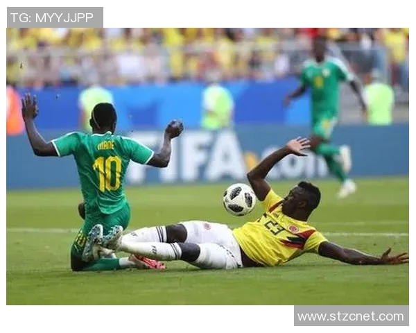 南非与塞内加尔激战正酣谁将赢得这场非洲足球盛宴