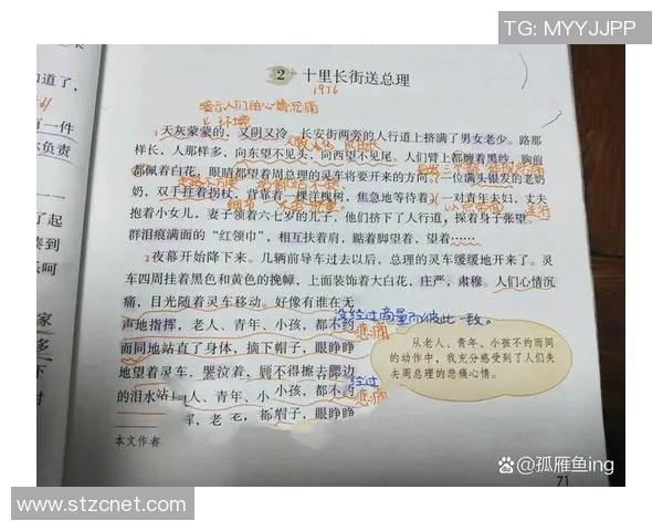 原帅的成长之路：从默默无闻到耀眼明星的奋斗故事
